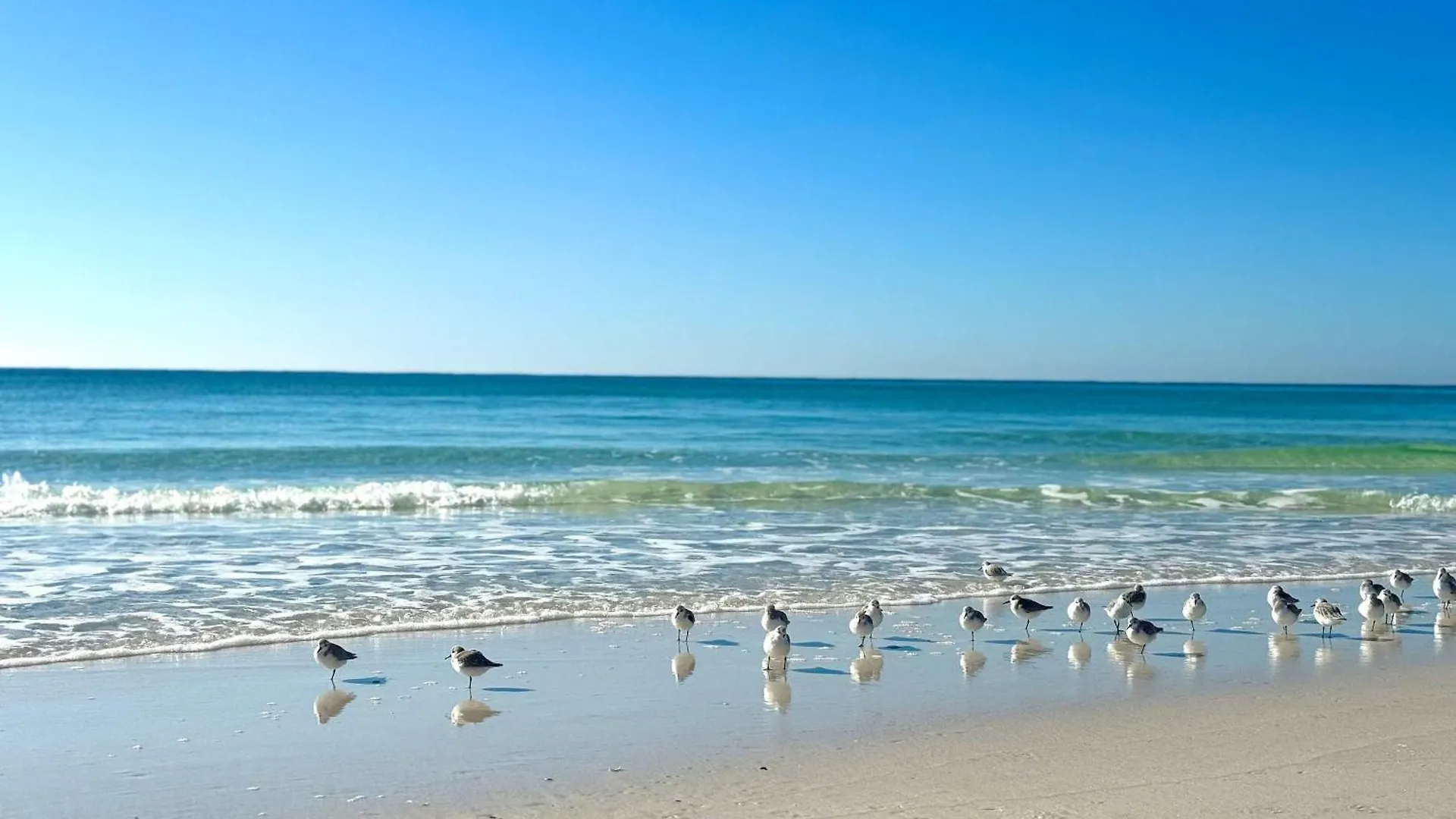 Marvelous Mermaid Lake View Central Destin 0*,  United States